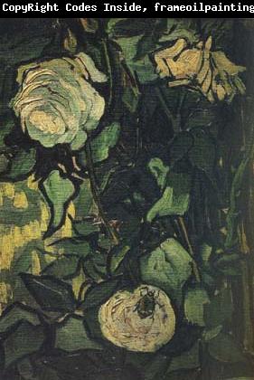 Vincent Van Gogh Roses and Beetle (nn04)